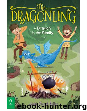A Dragon in the Family by Jackie French Koller