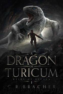 A Dragon of Turicum by C. R. Bracher