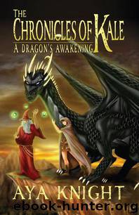 A Dragon's Awakening (Book 1) by Aya Knight