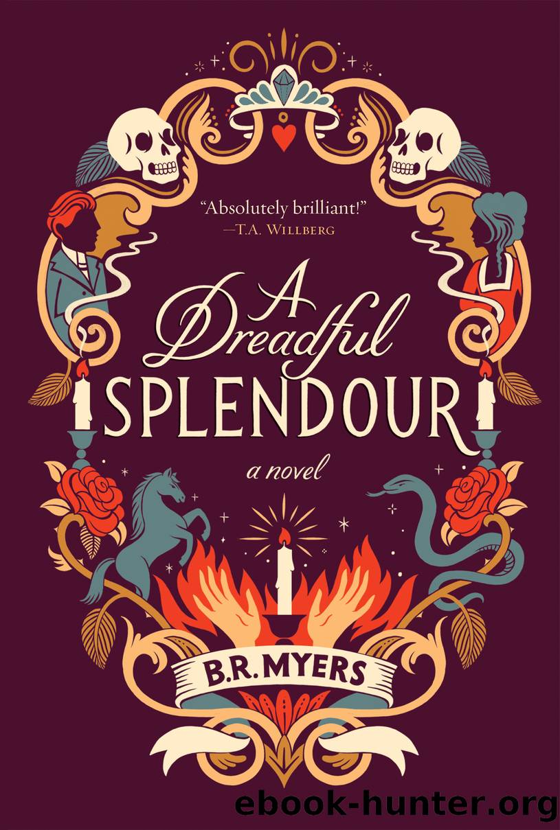 A Dreadful Splendour by B.R. Myers