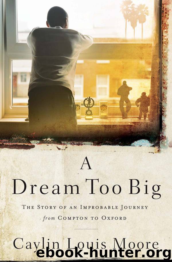 A Dream Too Big by Caylin Louis Moore
