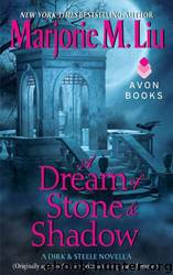 A Dream of Stone & Shadow (DS4) by Liu Marjorie M