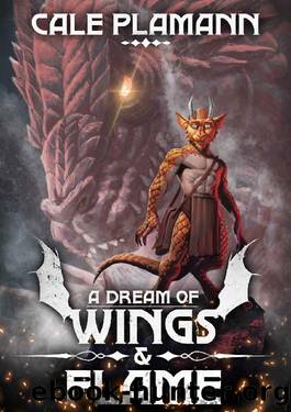 A Dream of Wings & Flame: A LitRPG Adventure by Cale Plamann