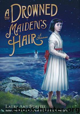 A Drowned Maiden's Hair by Laura Amy Schlitz