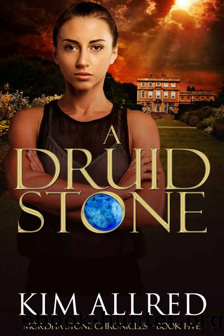 A Druid Stone by Kim Allred