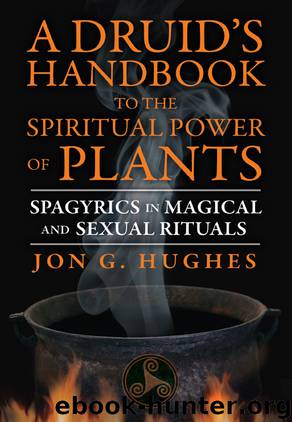 A Druid's Handbook to the Spiritual Power of Plants by Jon G. Hughes