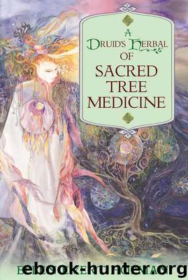 A Druid's Herbal of Sacred Tree Medicine by Hopman Ellen Evert