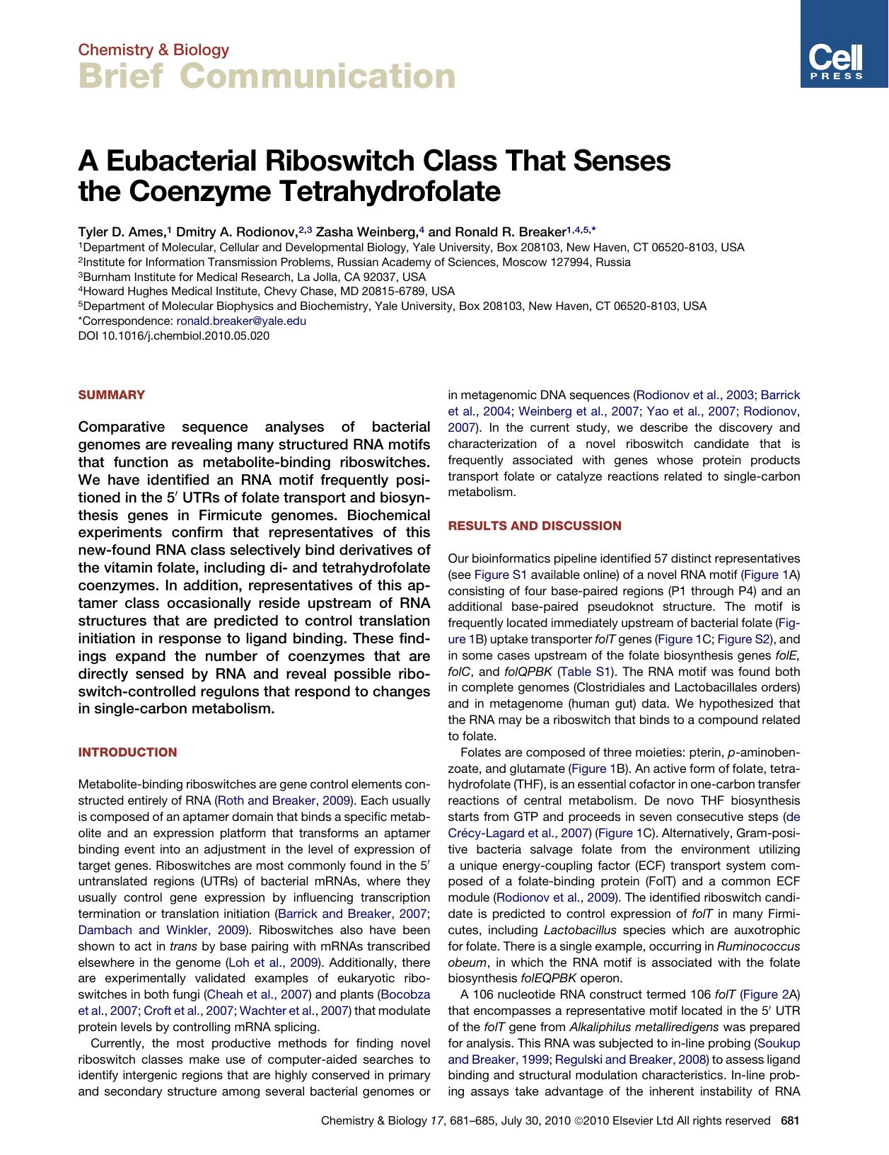 A Eubacterial Riboswitch Class That Senses the Coenzyme Tetrahydrofolate by Tyler D. Ames & Dmitry A. Rodionov & Zasha Weinberg & Ronald R. Breaker