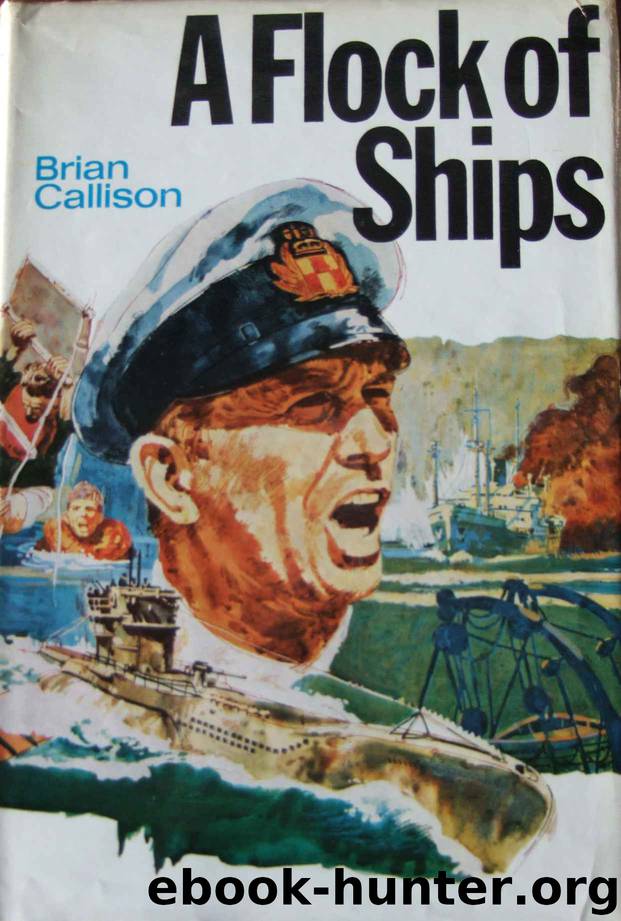 A FLOCK OF SHIPS by Callison Brian