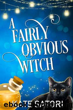 A Fairly Obvious Witch (Keystone County Witches Book 3) by Kate Satori