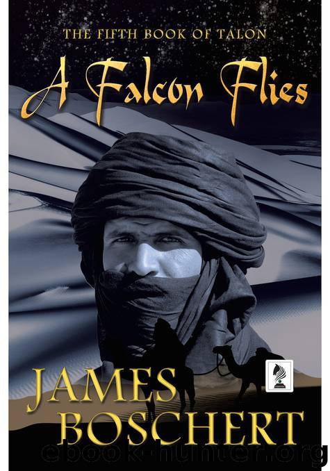 A Falcon Flies by James Boschert