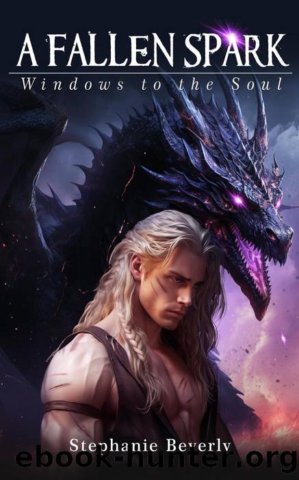 A Fallen Spark (Windows to the Soul, #1) by Stephanie Beverly