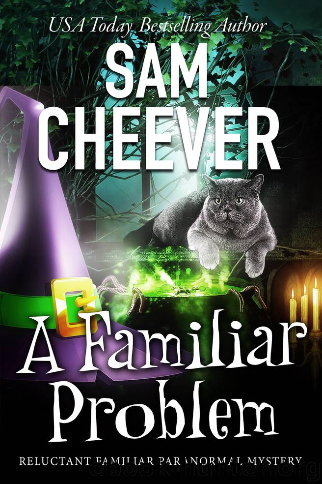 A Familiar Problem by Sam Cheever