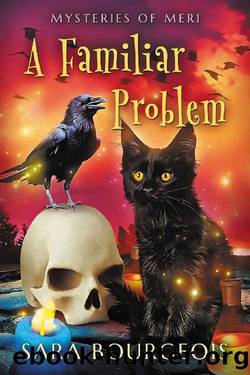 A Familiar Problem: Mysteries of Meri by Sara Bourgeois