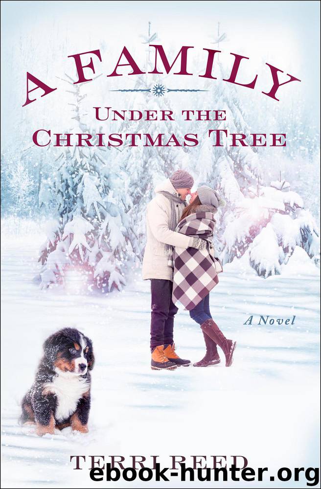 A Family Under the Christmas Tree by Terri Reed