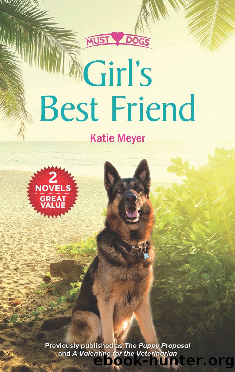 A Family at Last: The Puppy Proposal ; A Valentine for the Veterinarian by Katie Meyer