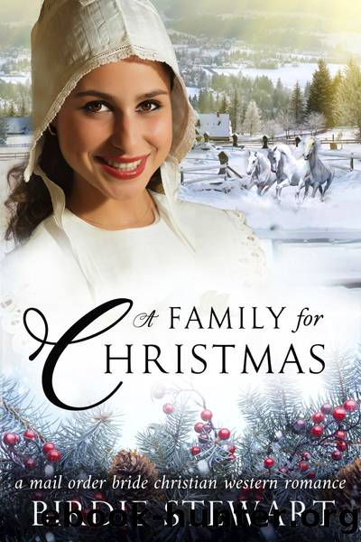 A Family for Christmas by Birdie Stewart