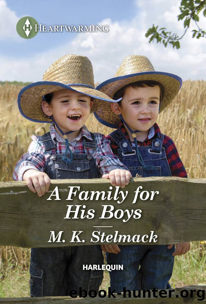 A Family for His Boys by M. K. Stelmack