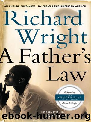 A Father’s Law by A Father's Law (retail) (epub)