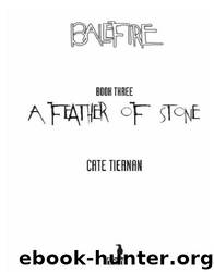 A Feather of Stone #3 by Tiernan Cate