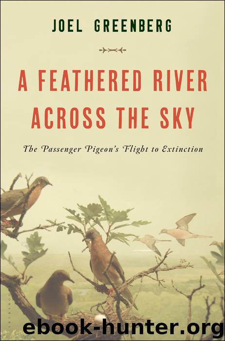 A Feathered River Across the Sky by Joel Greenberg