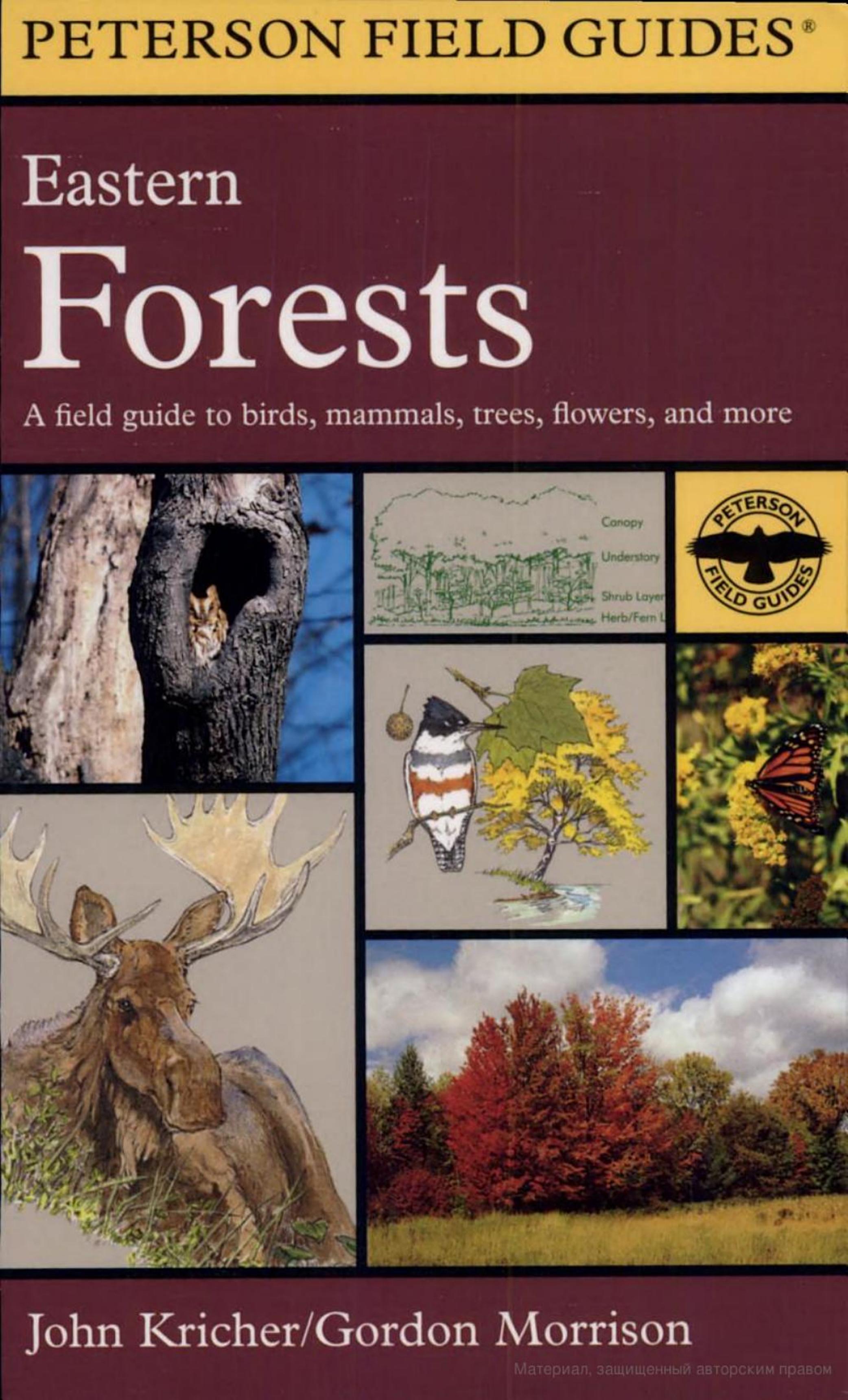 A Field Guide to Eastern Forests, North America by unknow