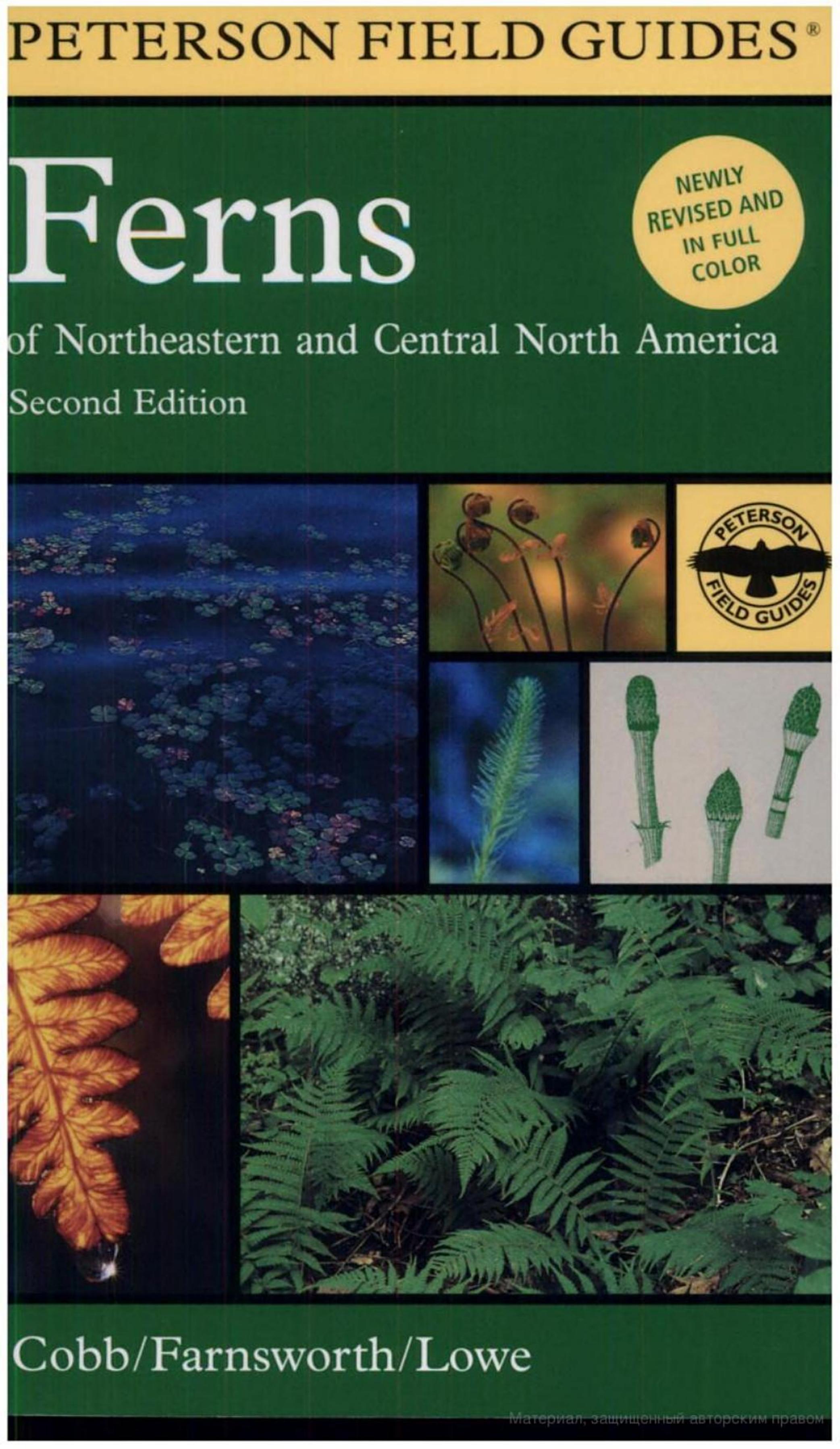 A Field Guide to Ferns and Their Related Families by ??????: Boughton Cobb Elizabeth Farnsworth Cheryl Lowe