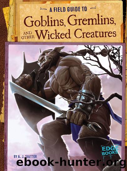 A Field Guide to Goblins, Gremlins, and Other Wicked Creatures by Colin Ashcroft