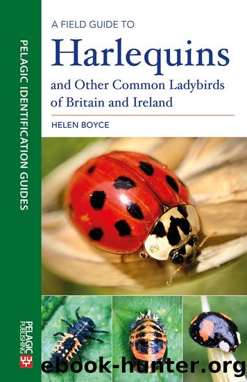 A Field Guide to Harlequins and Other Common Ladybirds of Britain and Ireland by Helen B. C. Boyce;