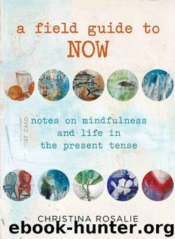 A Field Guide to Now: Notes on Mindfulness and Life in the Present Tense by Rosalie Christina