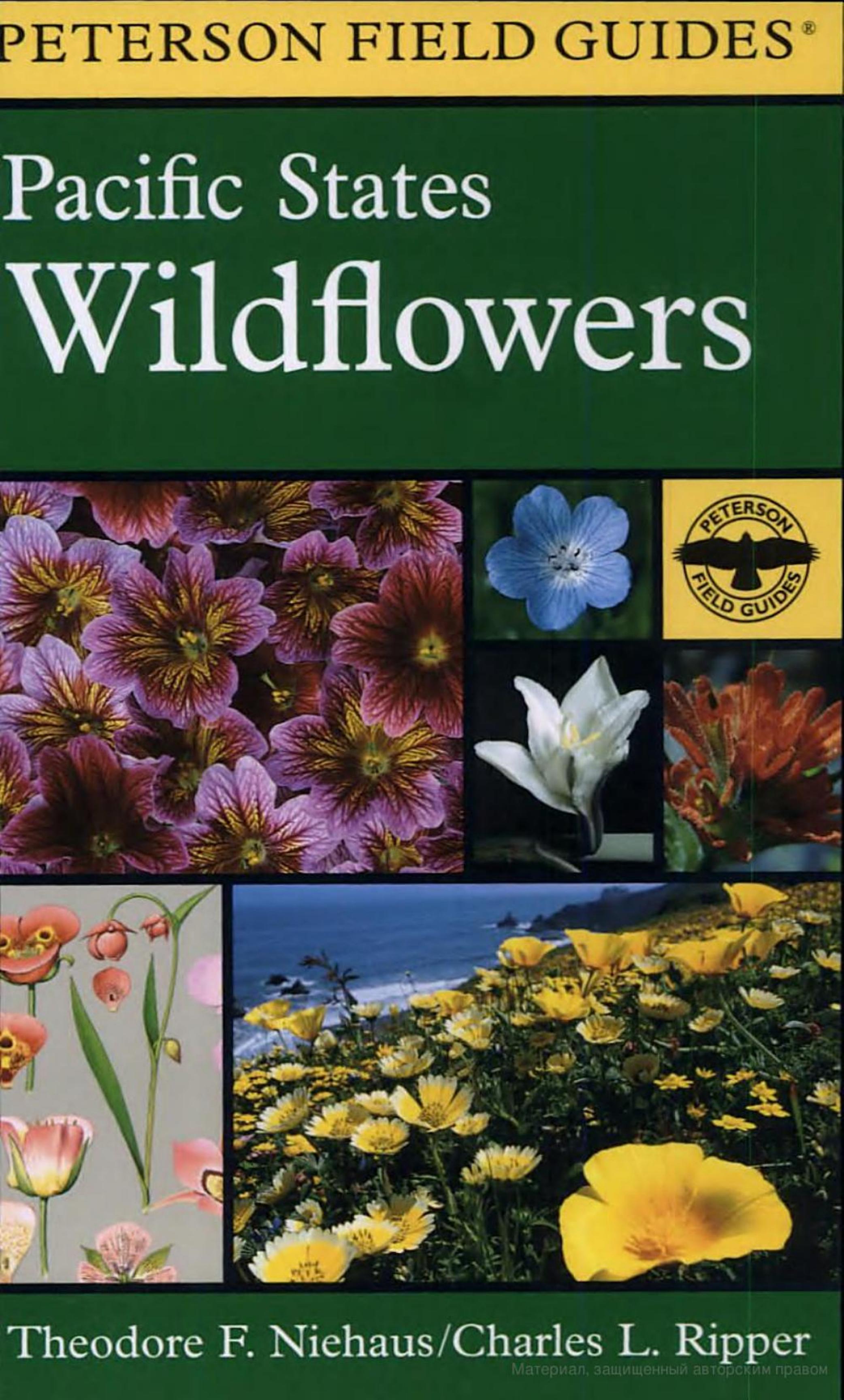 A Field Guide to Pacific States Wildflowers: Washington, Oregon, California and Adjacent Areas by Theodore F. Niehaus Roger Tory Peterson Charles L. Ripper