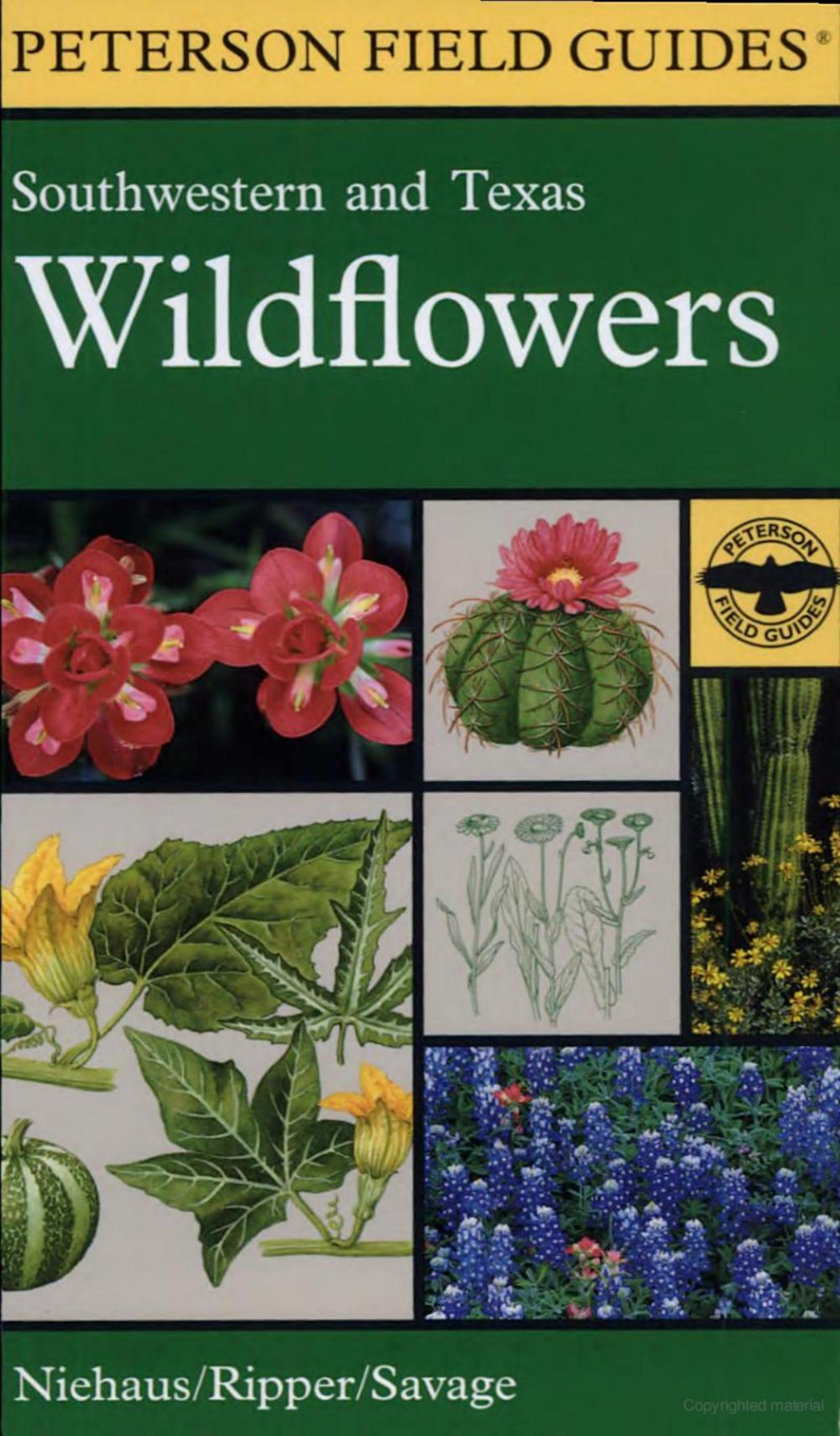 A Field Guide to Southwestern and Texas Wildflowers by By Theodore F. Niehaus Roger Tory Peterson Virginia Savage Charles L. Ripper