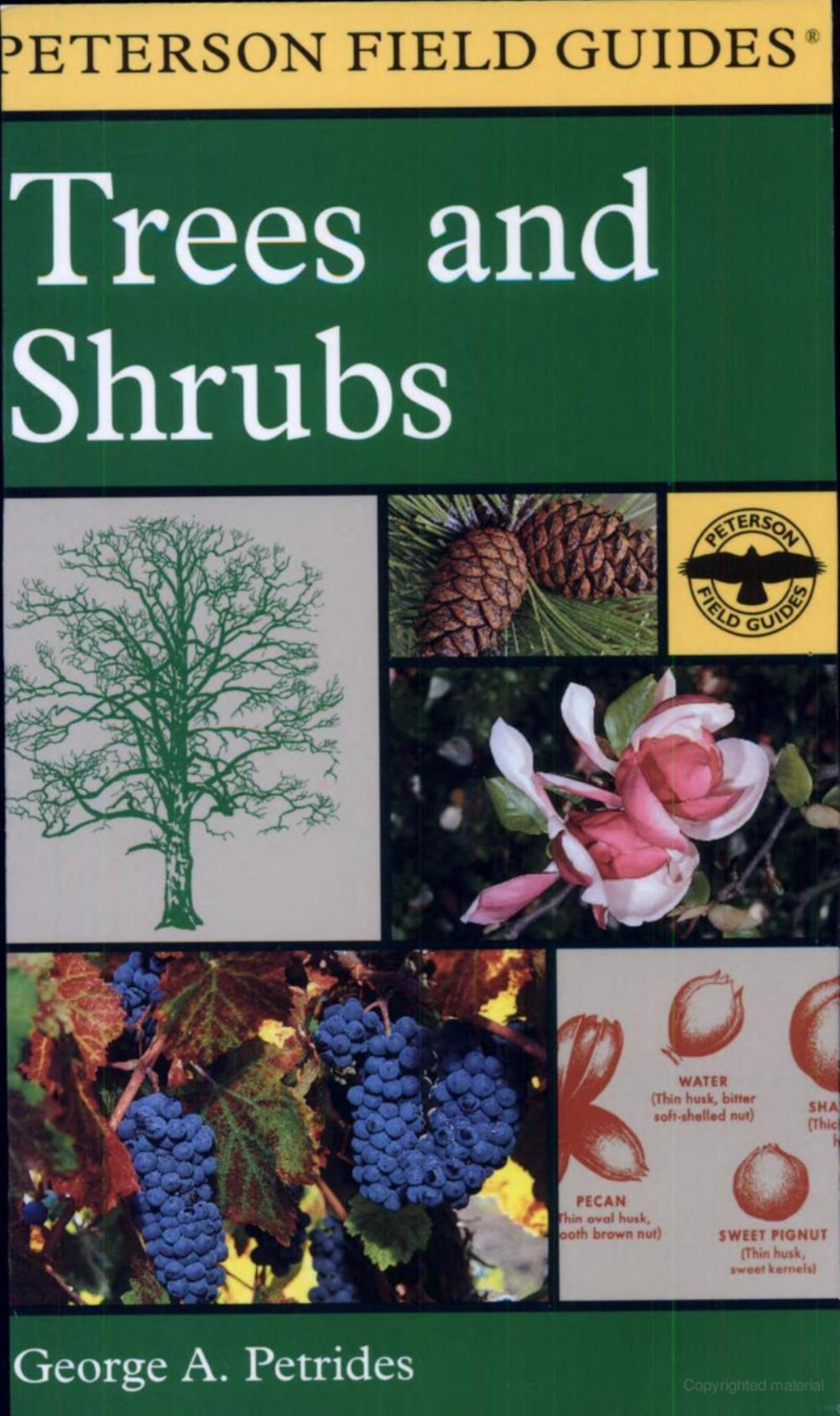A Field Guide to Trees and Shrubs by By George A. Petrides