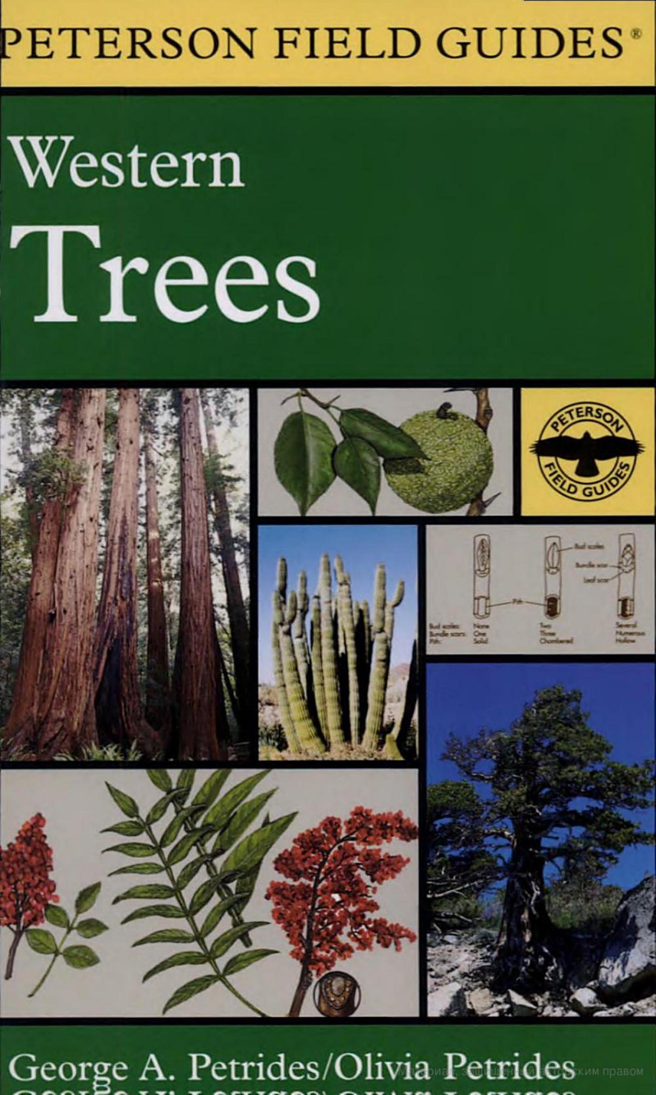 A Field Guide to Western Trees by ??????: Mariner Books Staff Roger Tory Peterson George A. Petrides Olivia Petrides