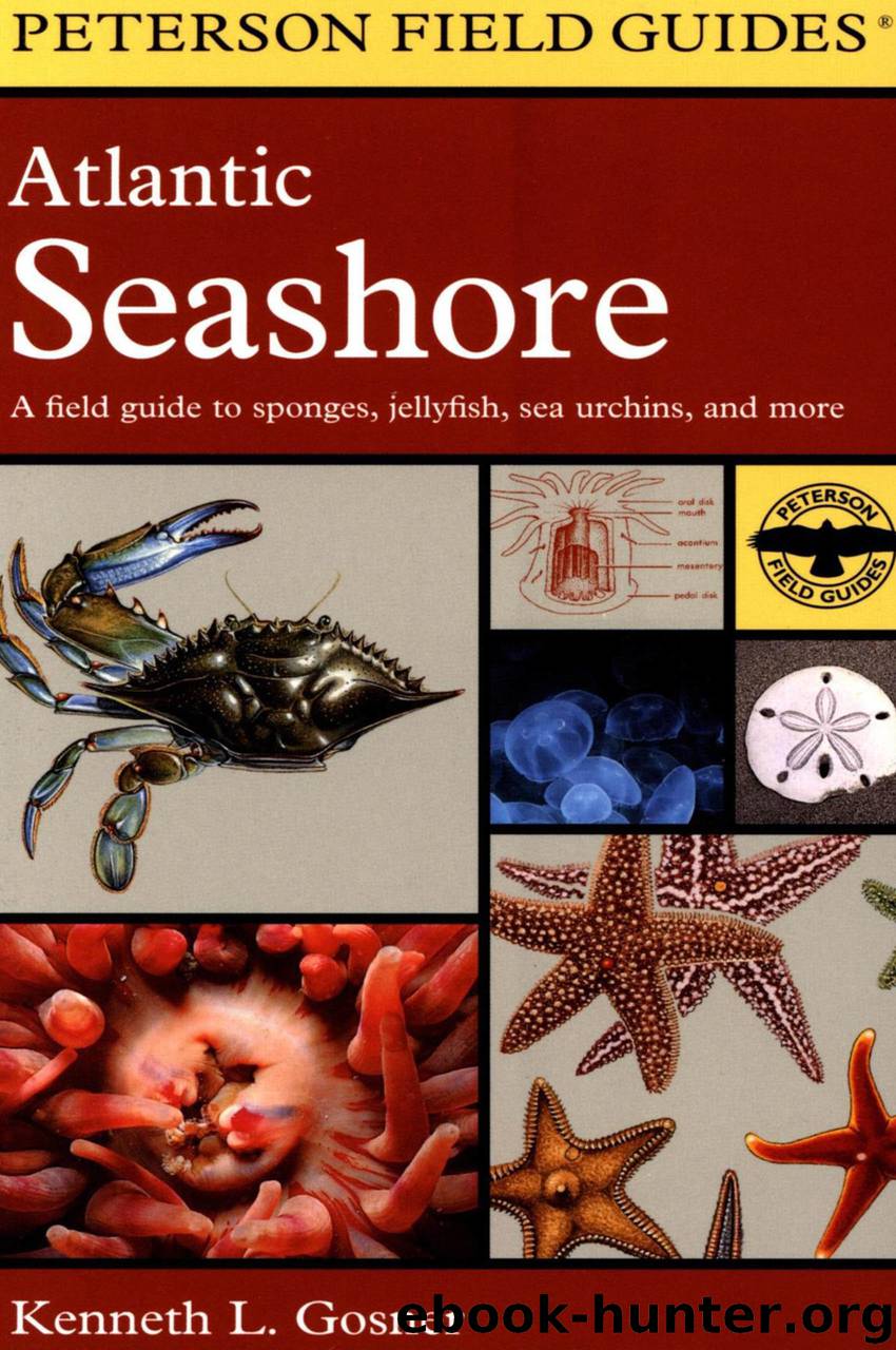 A Field Guide to the Atlantic Seashore by Roger Tory Peterson Kenneth L. Gosner