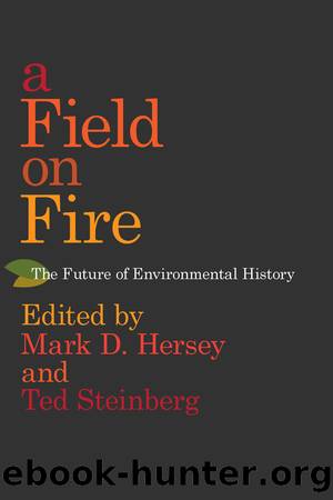 A Field on Fire by Unknown