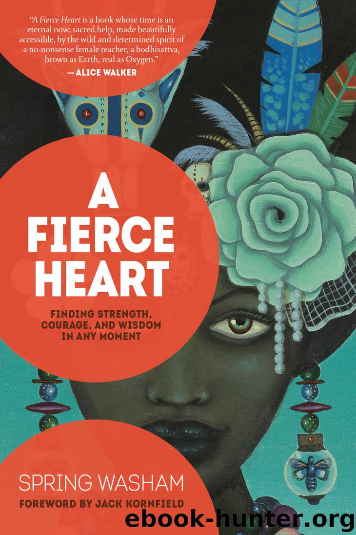 A Fierce Heart by Spring Washam