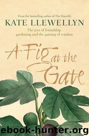 A Fig at the Gate: A Memoir of Gardening, Chooks and Friendship by Kate Llewellyn