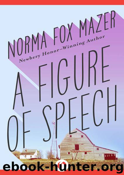 A Figure of Speech by Norma Fox Mazer