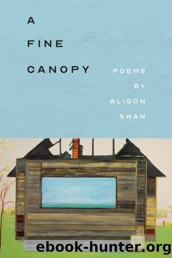 A Fine Canopy by Alison Swan