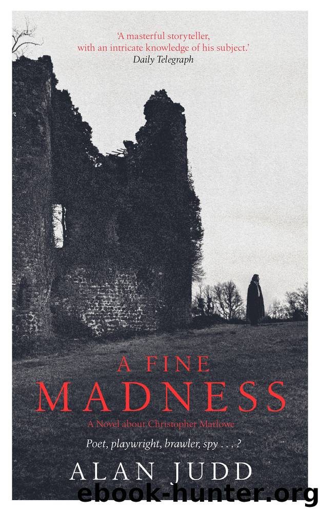 A Fine Madness by Alan Judd
