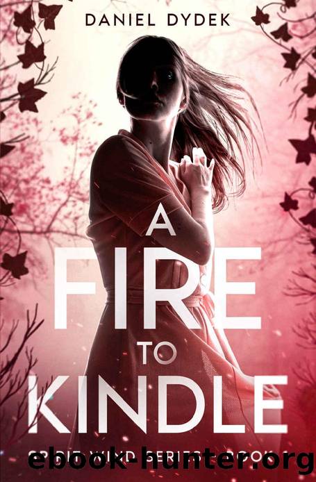 A Fire to Kindle (Spirit Wind Book 1) by Daniel Dydek