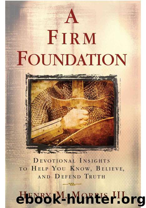 A Firm Foundation by Morris III Henry