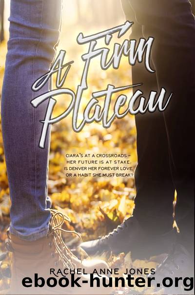 A Firm Plateau by Rachel Anne Jones