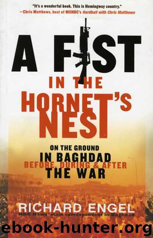 A Fist in the Hornet's Nest by Richard Engel