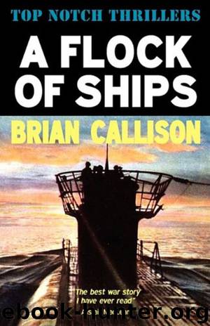 A Flock of Ships by Brian Callison