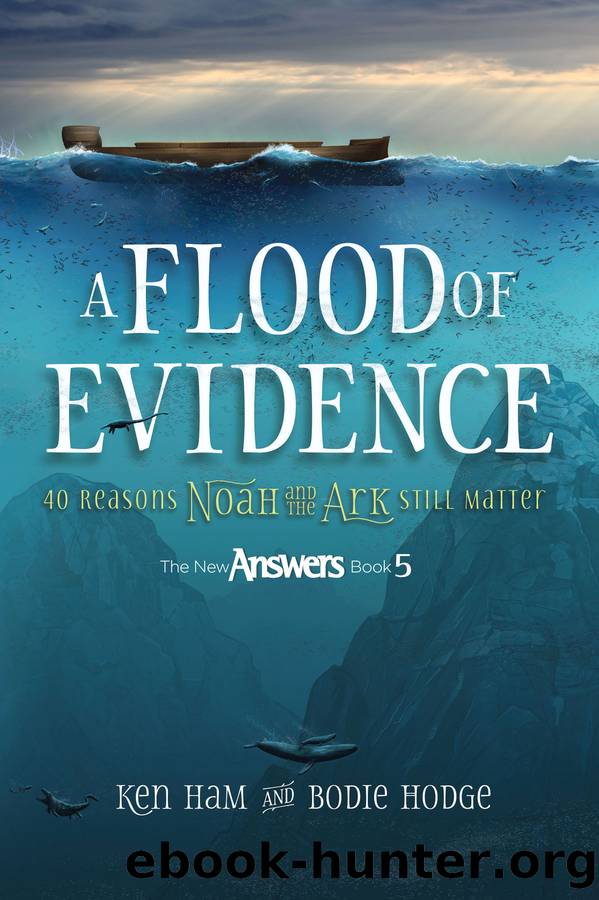A Flood of Evidence by Ken Ham & Bodie Hodge