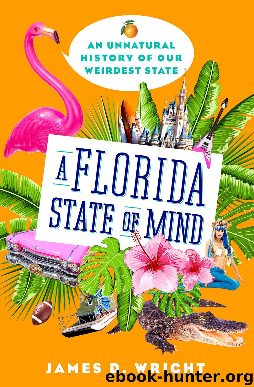 A Florida State of Mind by James D. Wright