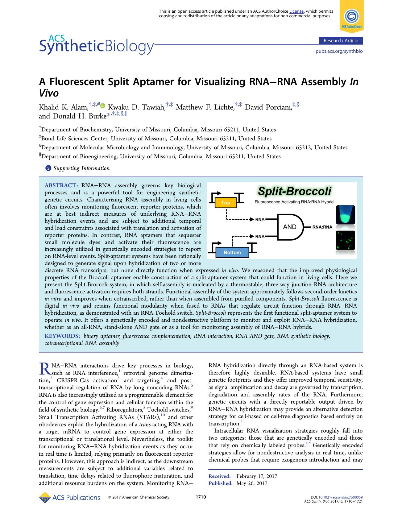 A Fluorescent Split Aptamer for Visualizing RNAâRNA Assembly In Vivo by Khalid K. Alam Kwaku D. Tawiah Matthew F. Lichte David Porciani and Donald H. Burke