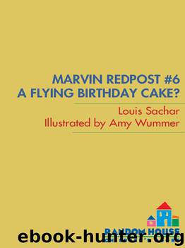 A Flying Birthday Cake? by Louis Sachar